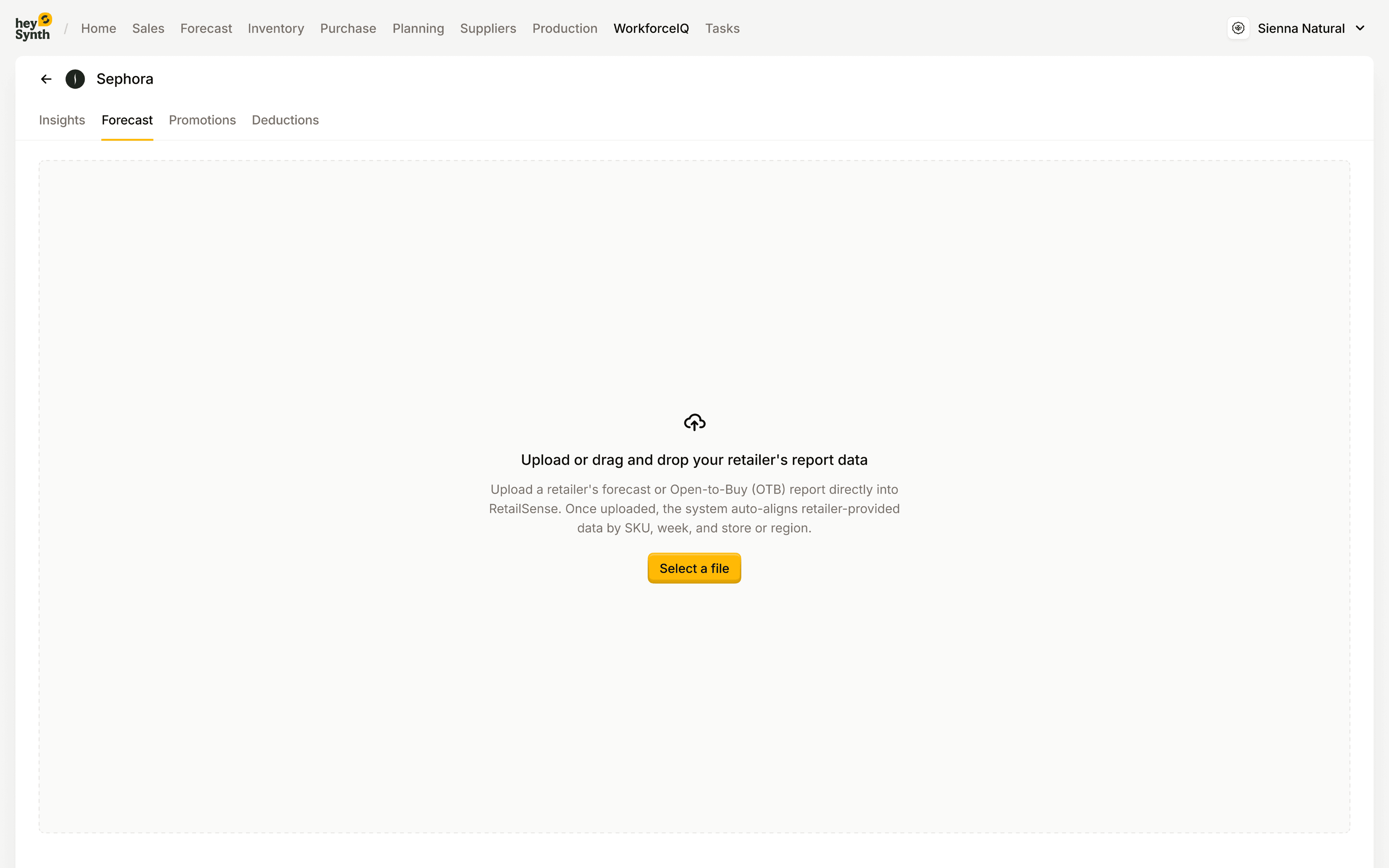 RetailSynth Forecast overview